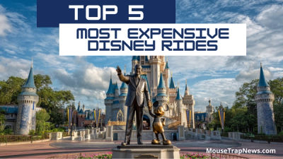 Top 5 Most Expensive Disney World Rides