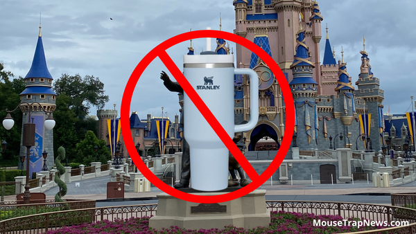 Disney World Bans Stanley Cups Inside The Parks