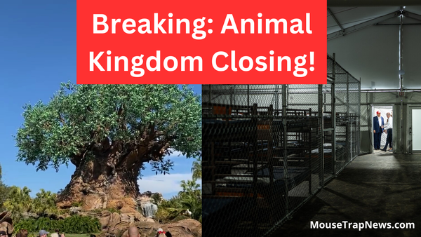 Breaking: Disney’s Animal Kingdom Closing For Prison