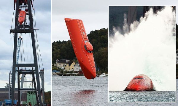 New Free Fall Water Ride Coming to Disney World?