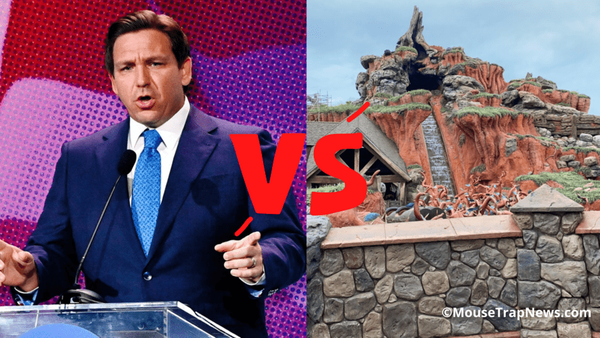 Florida Government Sues Disney to Keep Splash Mountain As Is
