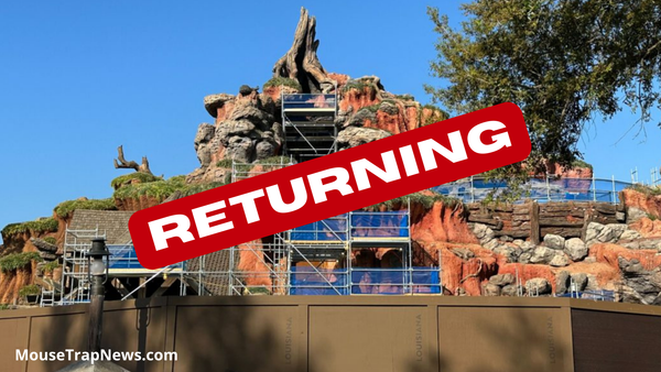 BREAKING: Splash Mountain Returning to Disney World