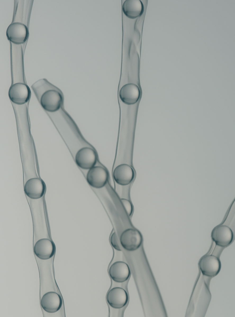 Working within health, tech, and AI - its an interesting time to explore visual motifs at once old, and new - to try and express what a brand stands for.