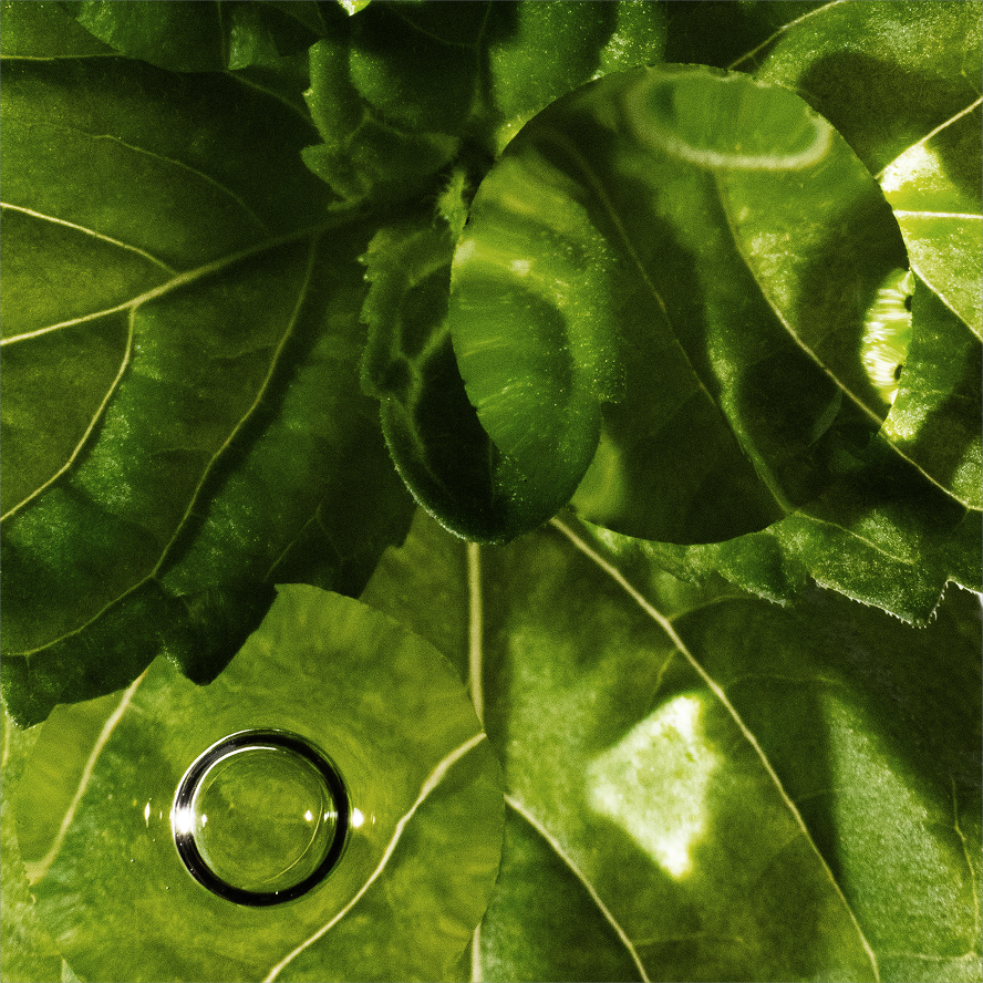 We shot real fruit and vegetables to show the real fruit and vegetables used in Revitin's toothpaste.