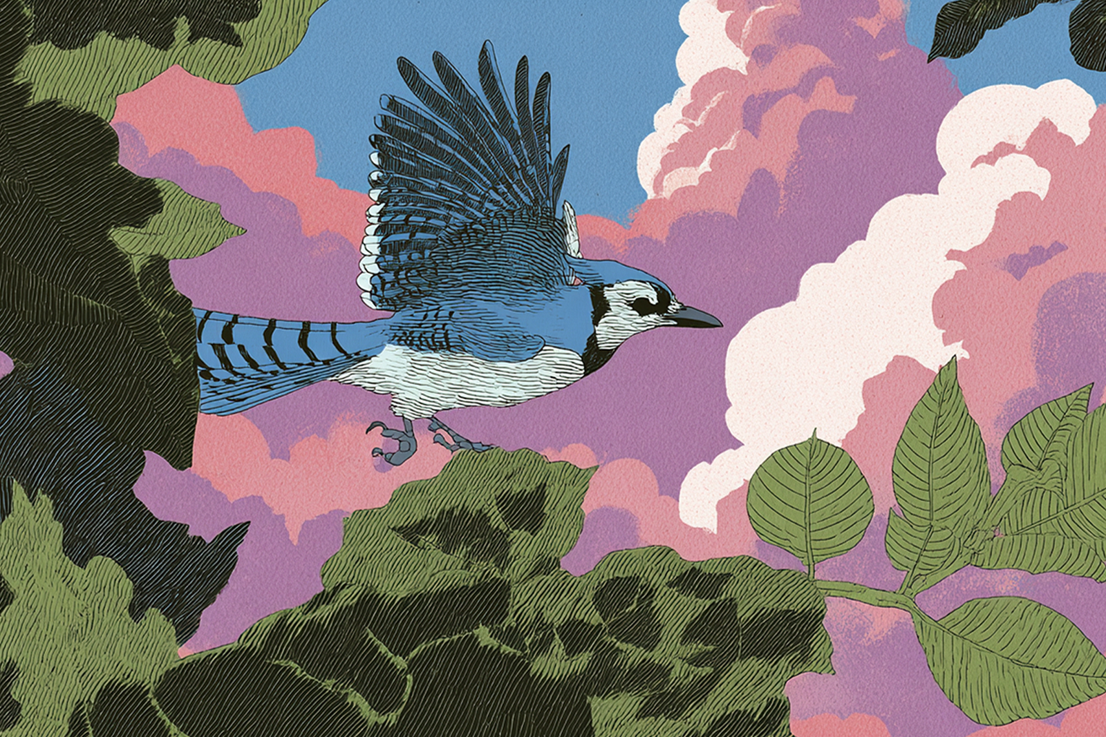 Our designers carefully created unique visuals that looked like noth