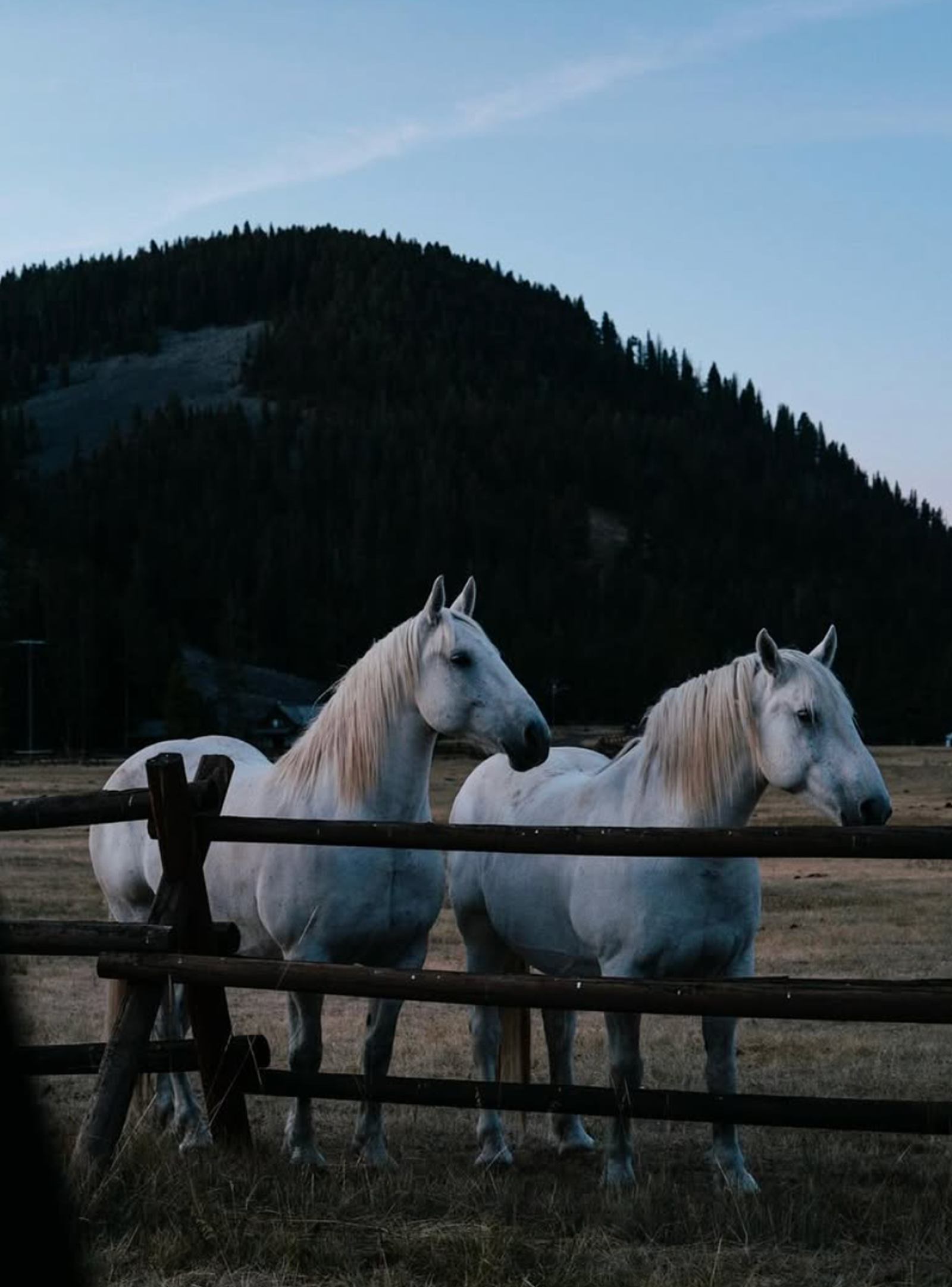 For photography, our job was to just walk around, observe, and capture the moments that surrounded.