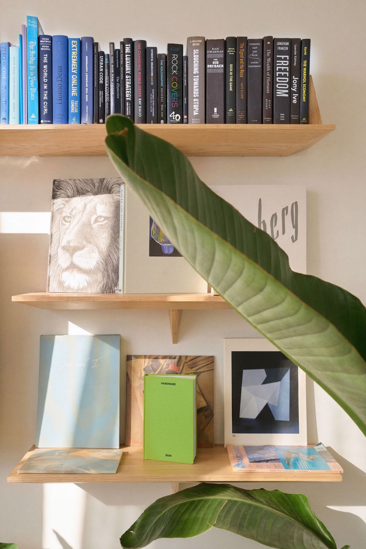 Little Plains office — bookshelves and plant
