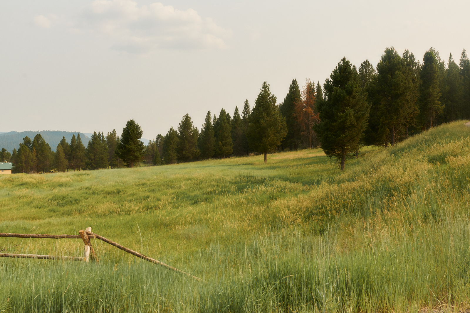 Our North Star was the beauty of the American West.
