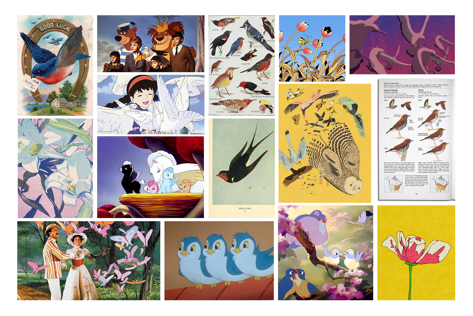 Honing in on birds as a mascot for the brand, we tested different aesthetics alongside our animation references.