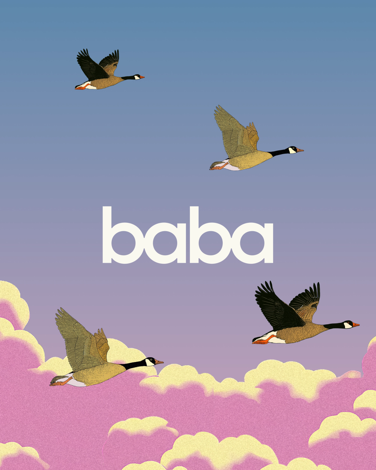 Baba Care