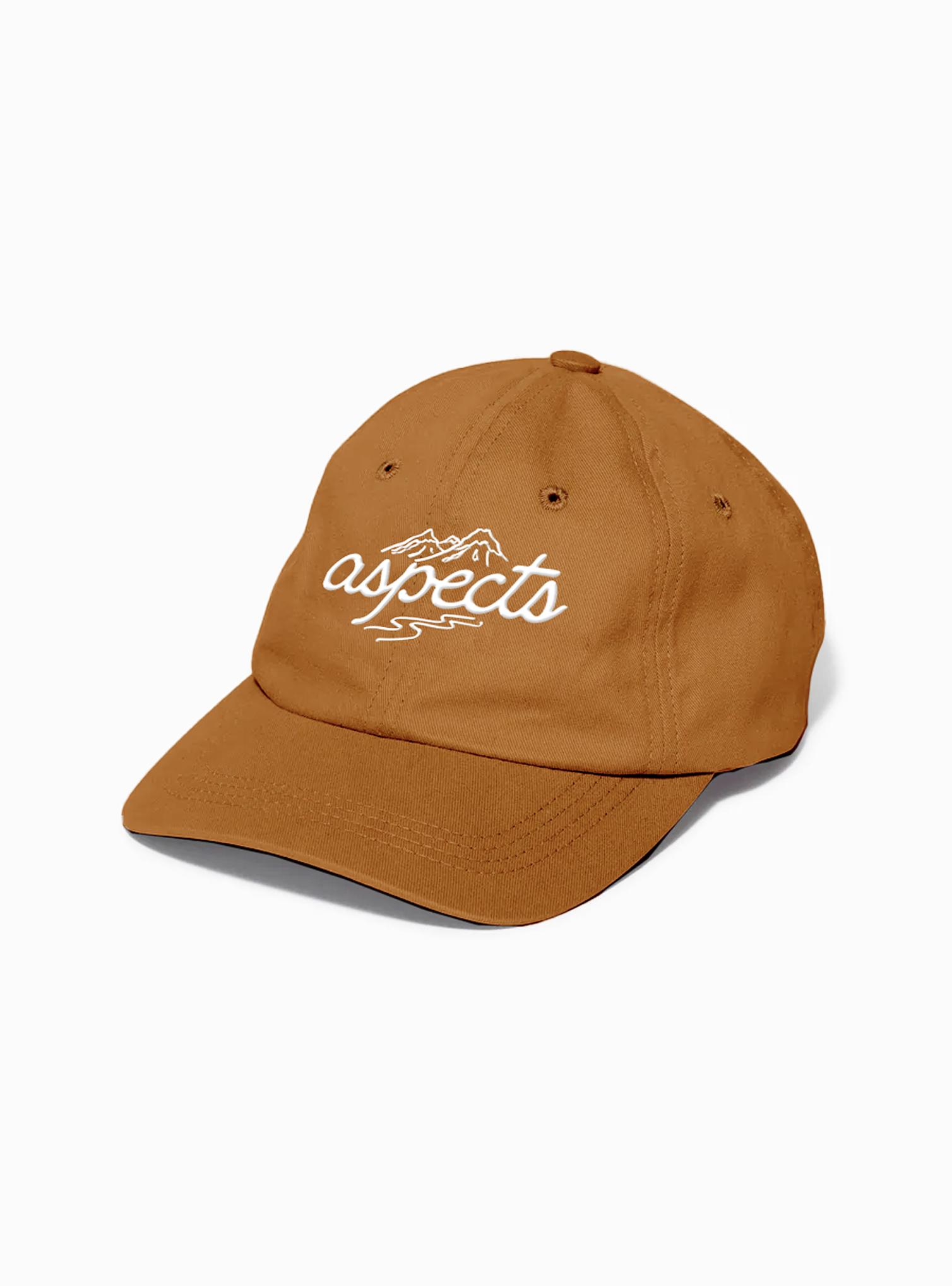 Aspects baseball hat.
