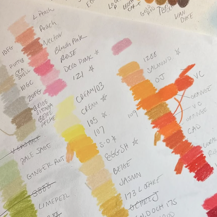 The designer matched her selected brand colors with each of the hand-drawn illustrations.