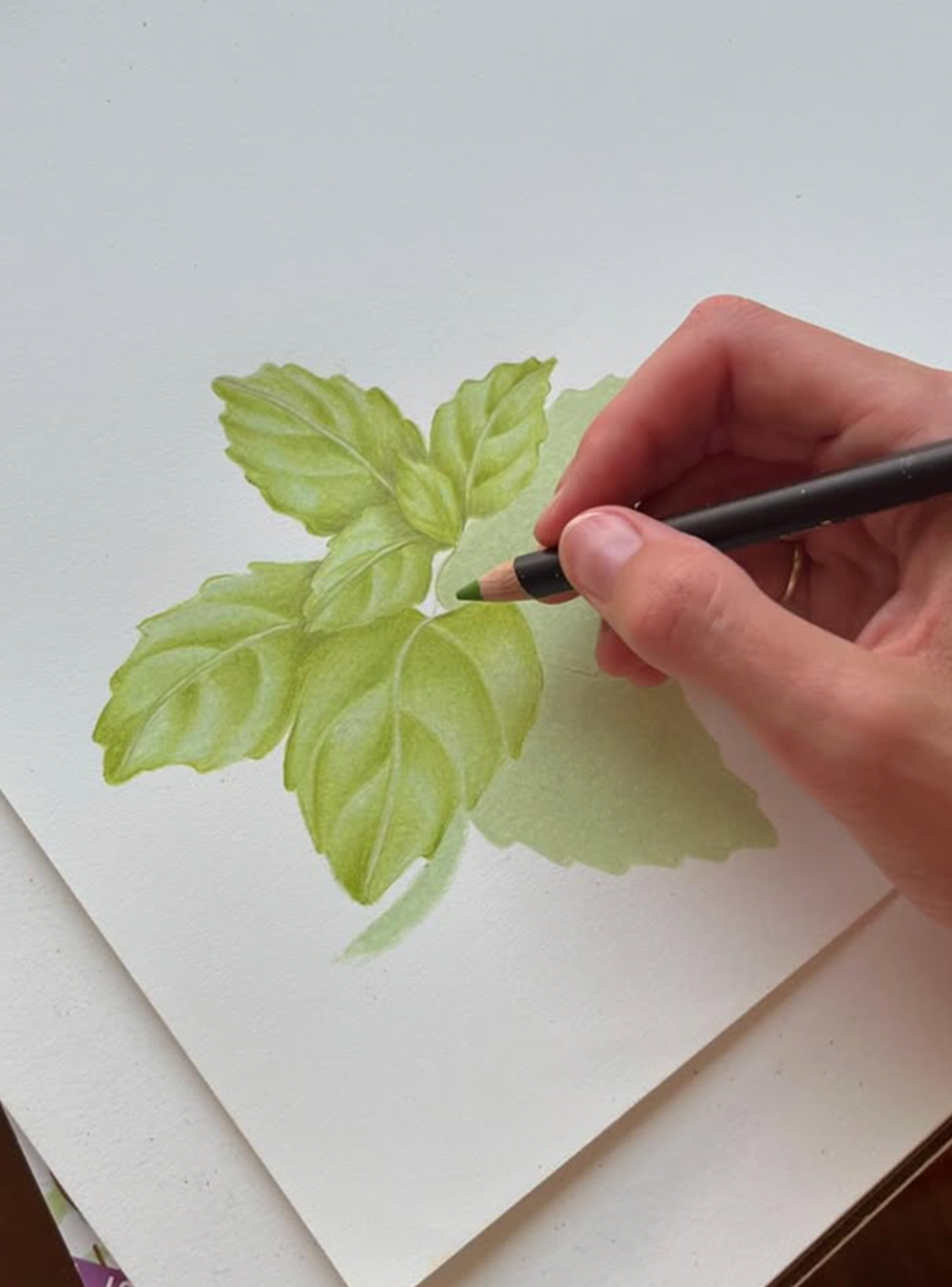 Hand-drawn to digitally integrated, the brand elements exude fresh.