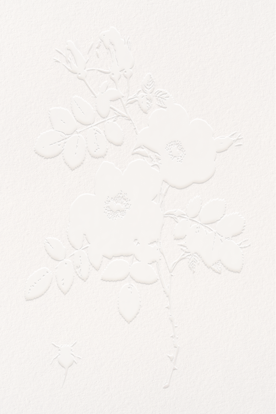 Arkay employs the most premium printing techniques and technologies to the paper-based packaging. We wanted a digital guideline that exemplified their incredible craftsmanship.