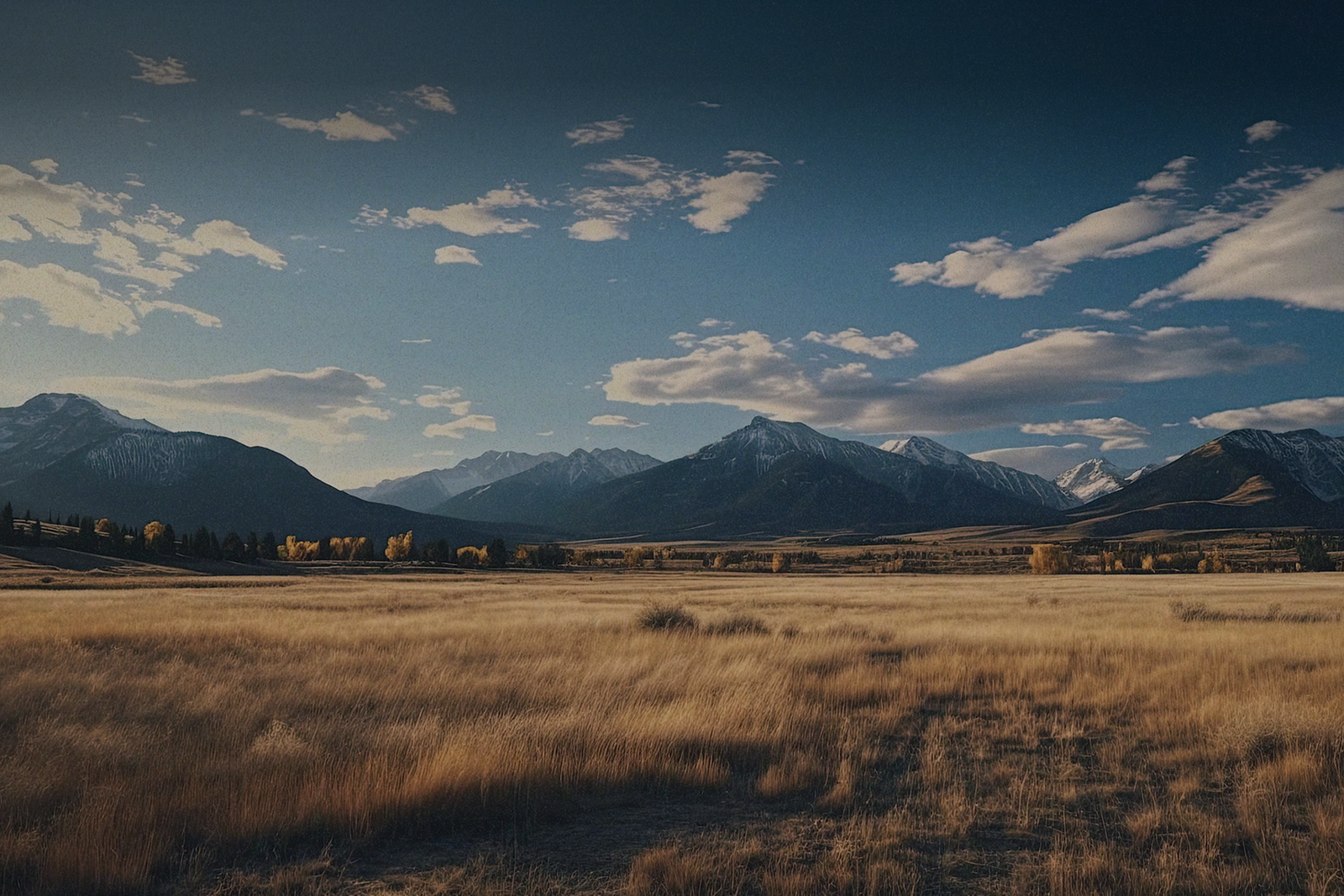 Our North Star was the power, adventure, and grounding nature of the wide open American West.