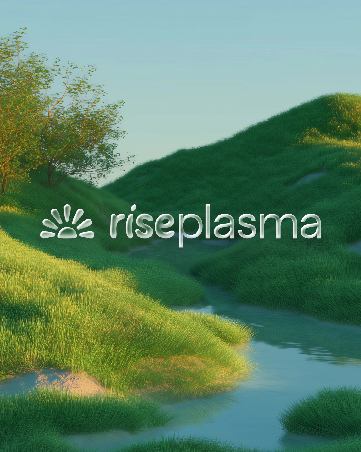 Rise Plasma