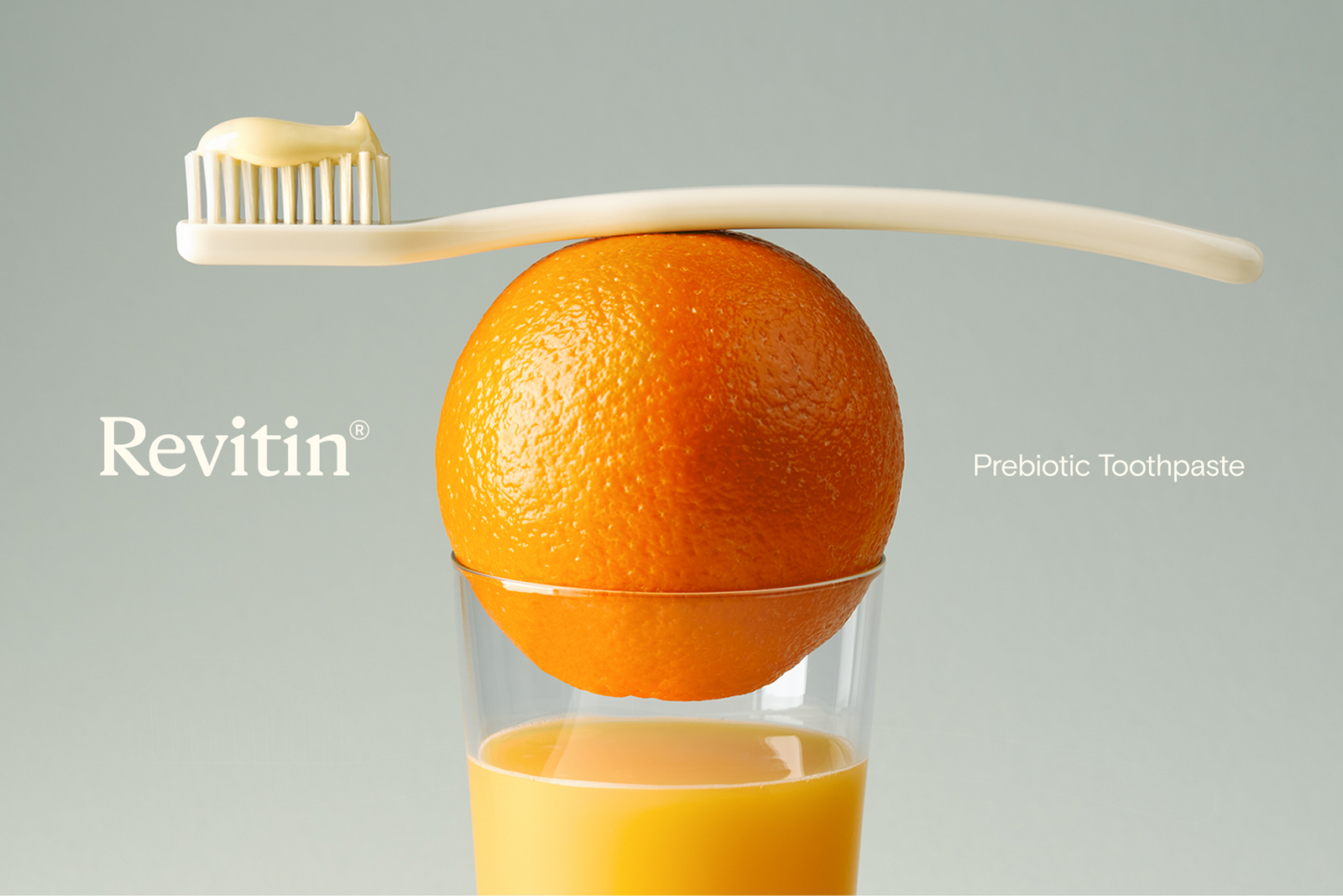 We pored over historical still-life photography back to Irving Penn to set up the art direction for Revitin.