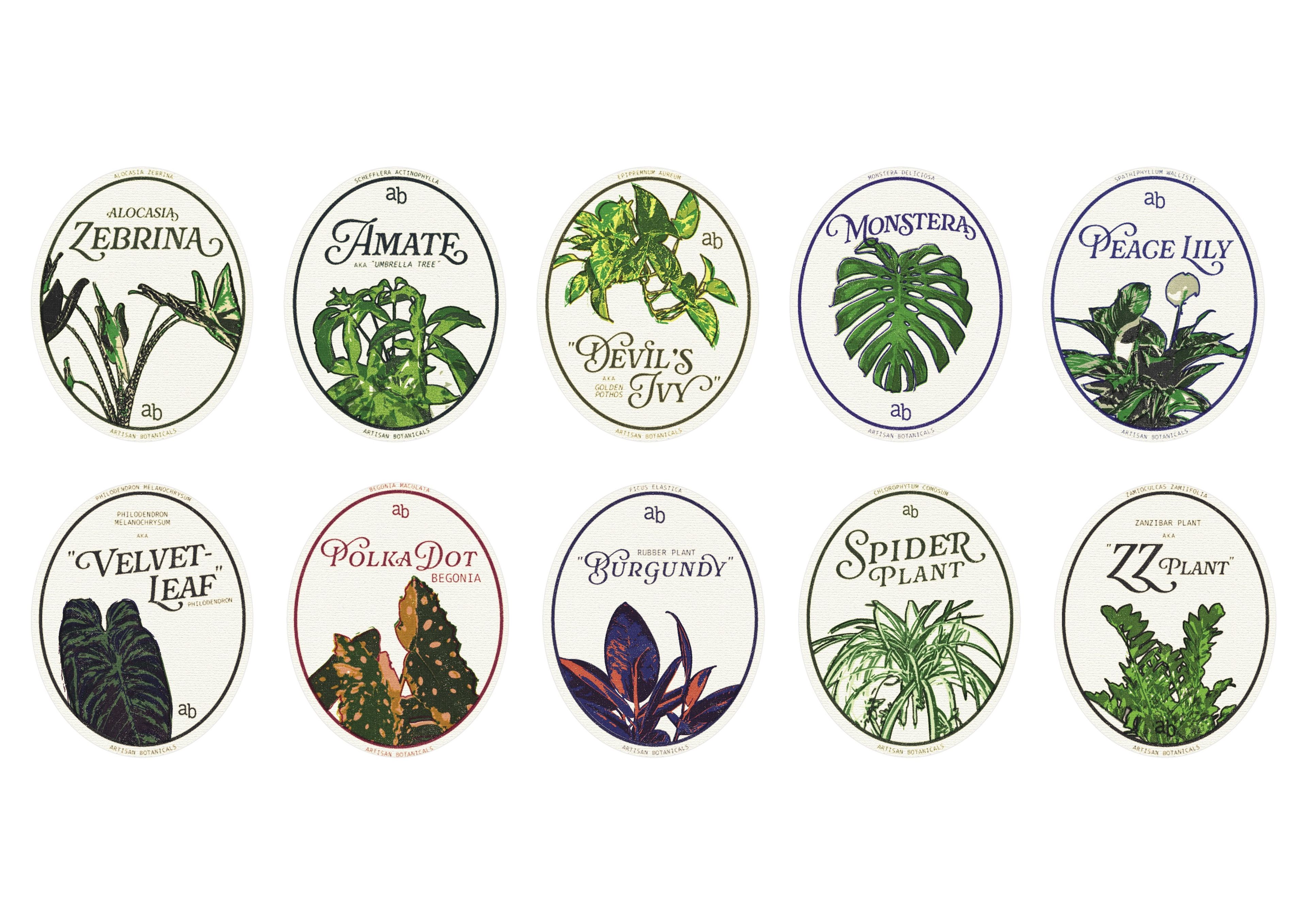 Series of illustrated plant tags featuring detailed, vintage-style botanical drawings of popular houseplants. Each tag includes the plant’s common name in an ornate font, adding a decorative, nostalgic touch to the design.