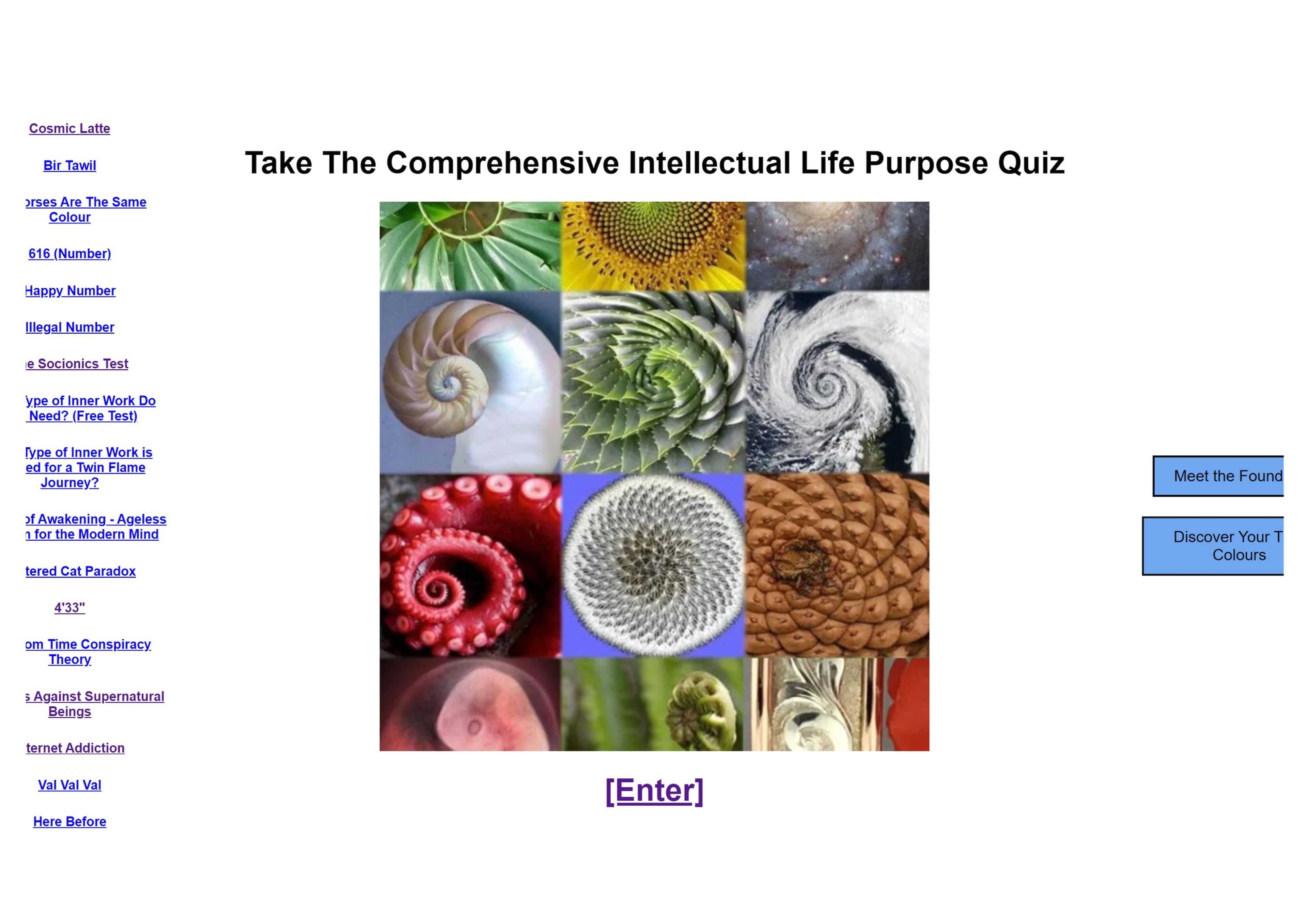 Landing page for 'The Comprehensive Intellectual Life Purpose Quiz' featuring a grid of twelve nature photographs showing spiral patterns in different forms. Left sidebar contains various linked quiz titles, and two blue buttons appear on the right. A purple '[Enter]' button is centred at the bottom.