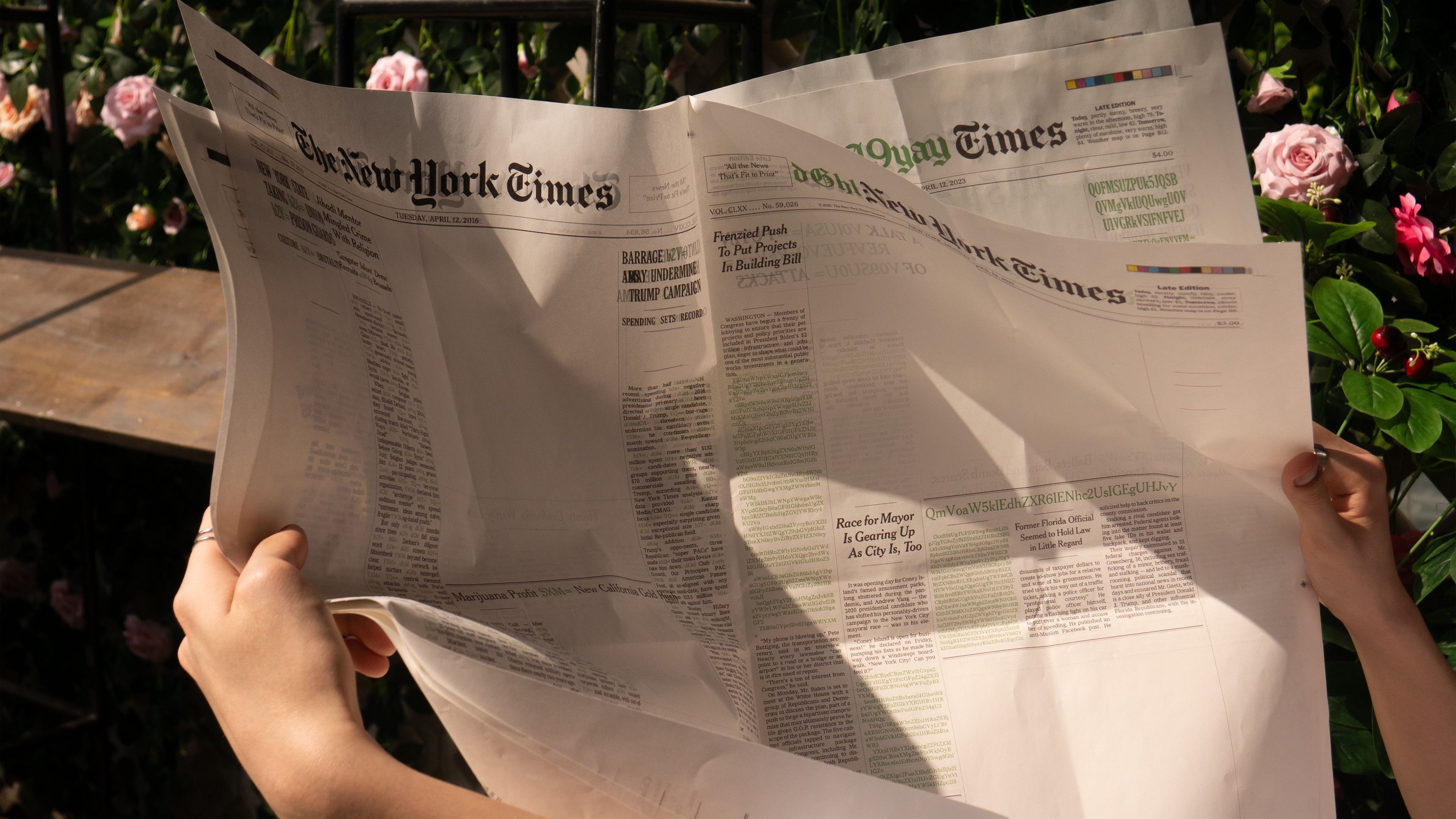 A pair of hands holds open a New York Times newspaper under sunlight, casting shadows across the pages, with a background of lush roses and greenery.