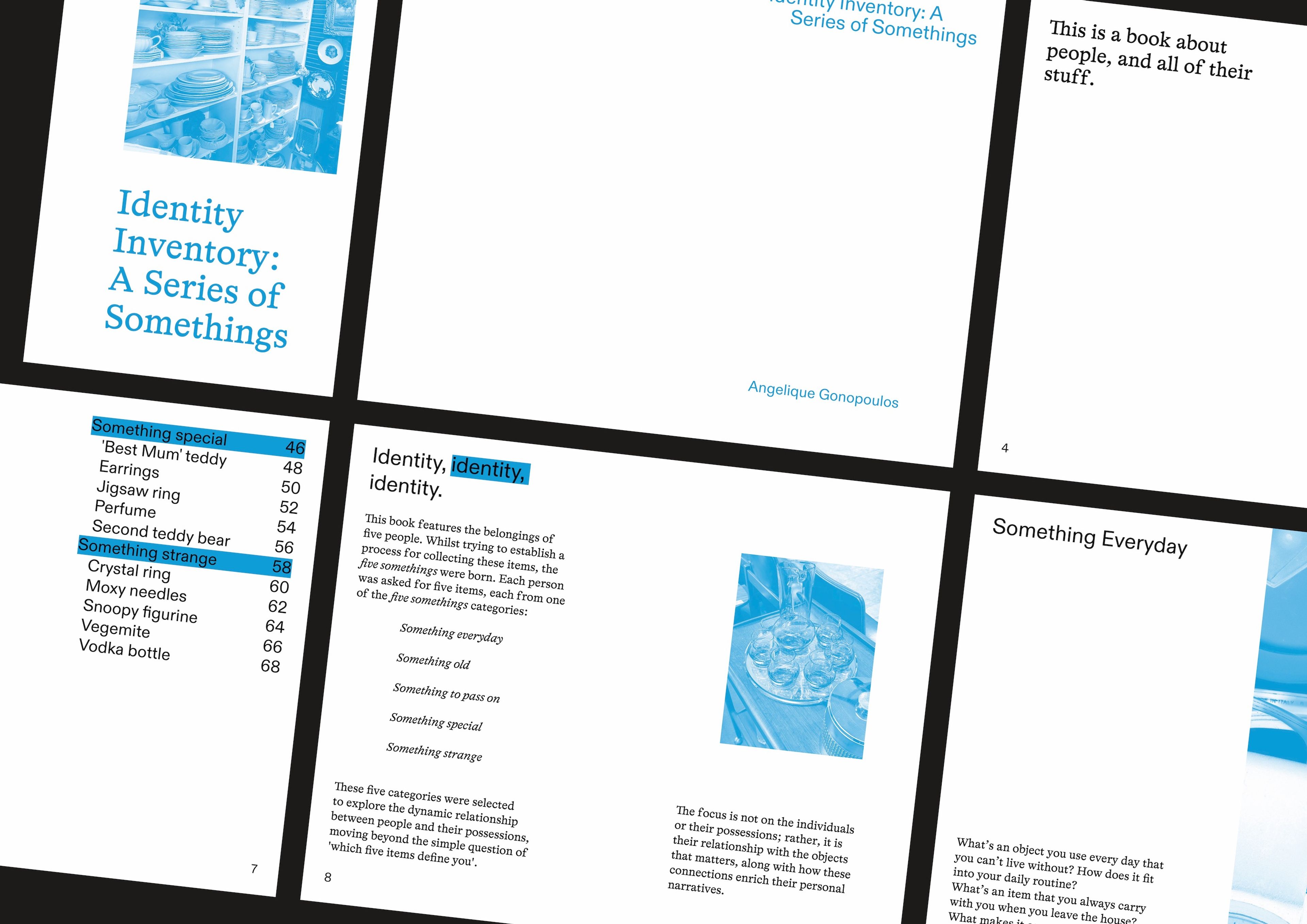 Overhead angled view of multiple spreads from 'Identity Inventory: A Series of Somethings.' Pages display blue-tinted images of objects alongside descriptive text, cataloguing items under categories like 'Something Special' and 'Something Strange.'