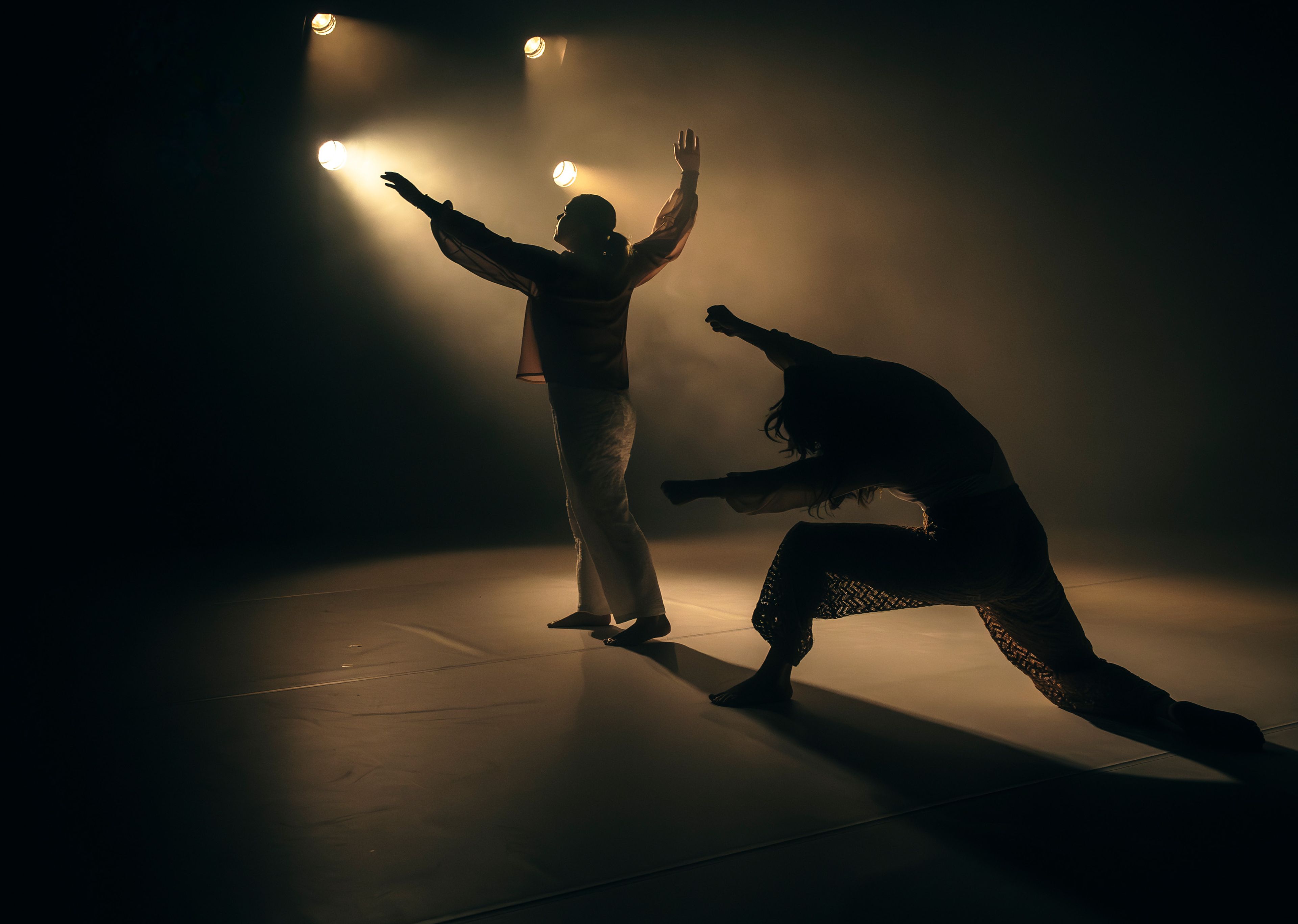 Dance production photograph showing two dancers in a warm spotlight, one reaching upward with extended arms, while the other lunges low in a shadowed position.