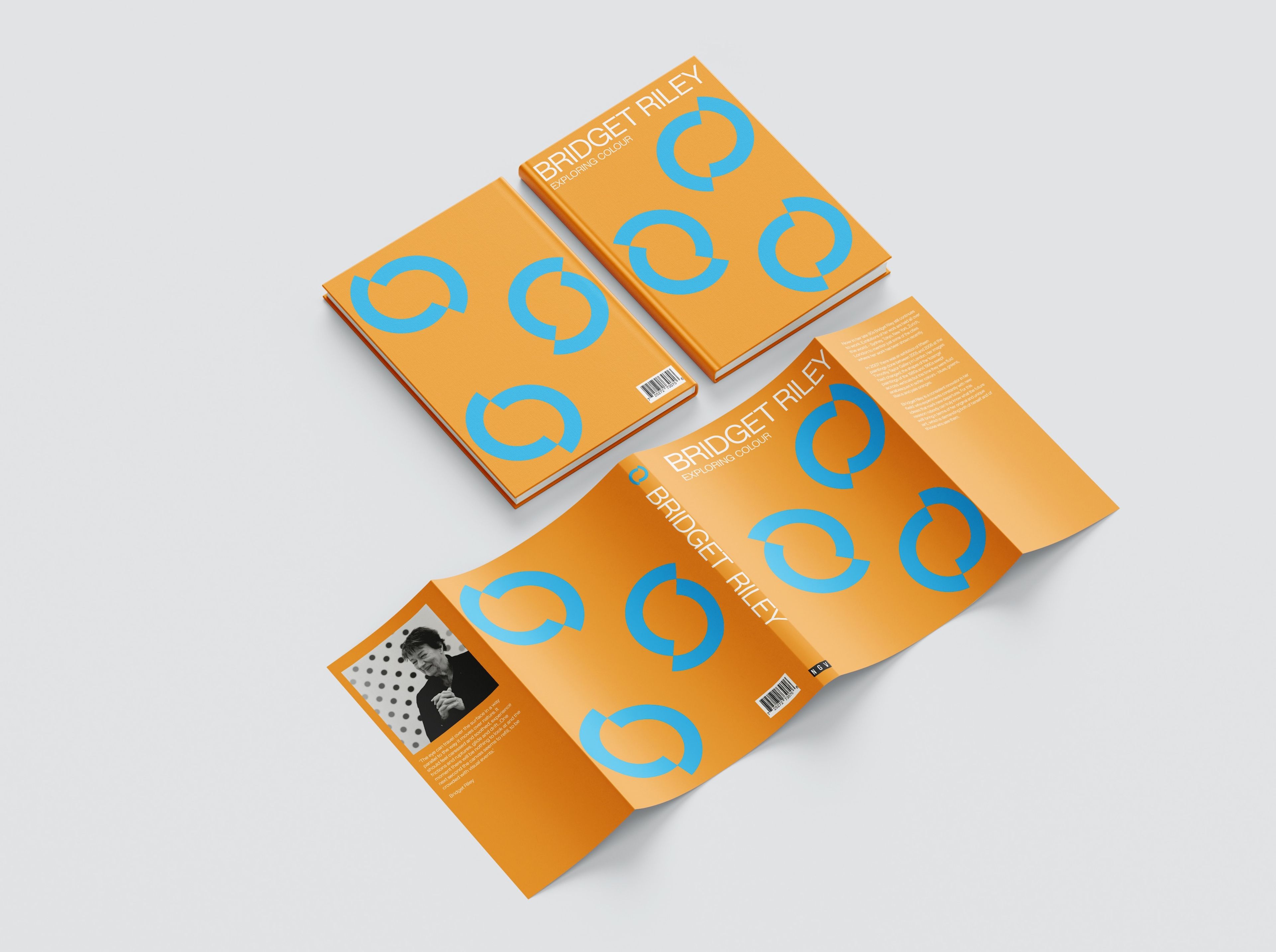 "Bridget Riley: Exploring Colour" book with orange cover and sky-blue circles. Title in white, sans-serif font; includes author photo and text on the jacket flap.