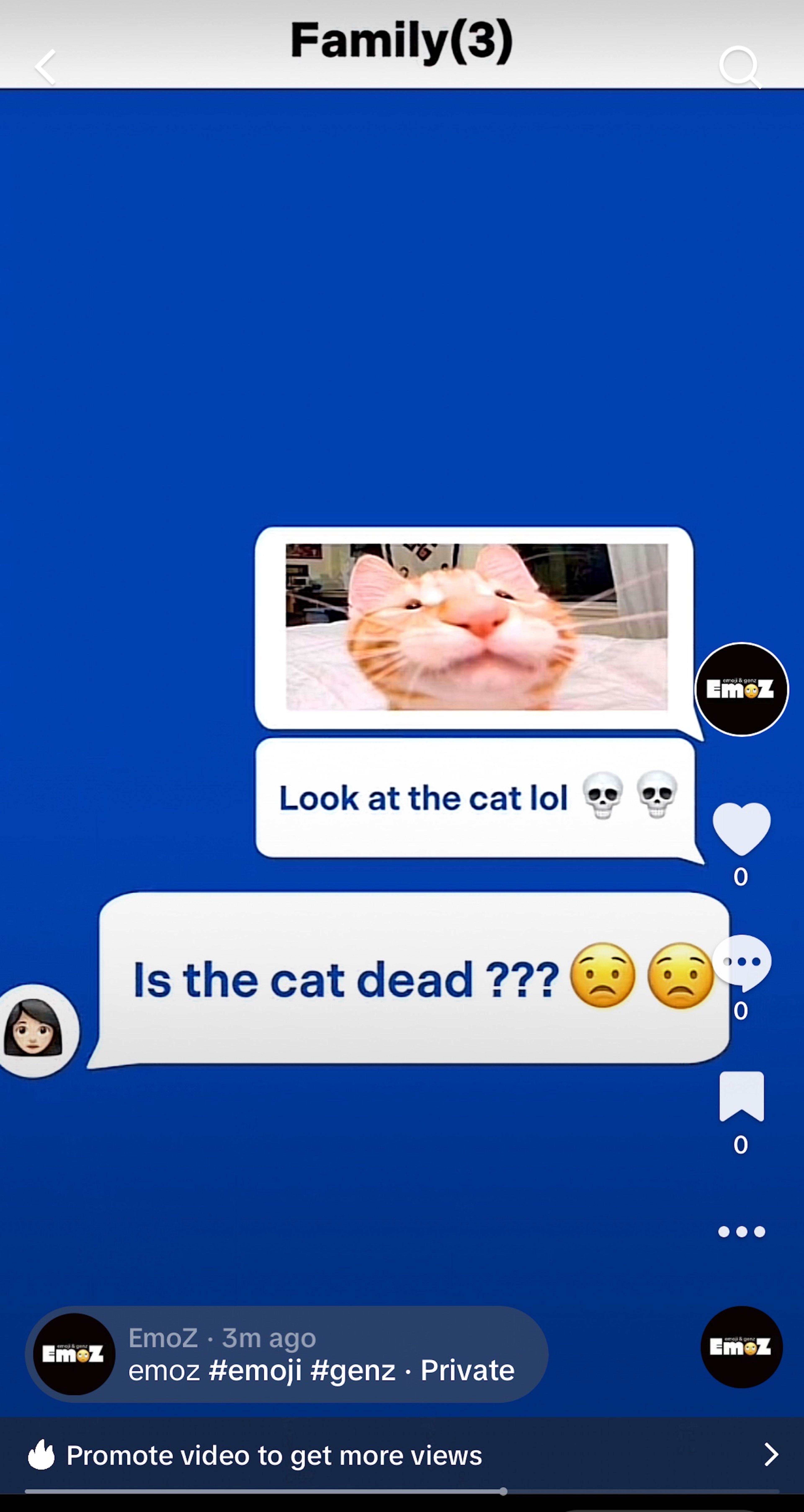 Social media post from 'EmoZ' showing a chat screenshot about a cat photo, with skull and crying emojis to convey a humorous misunderstanding.