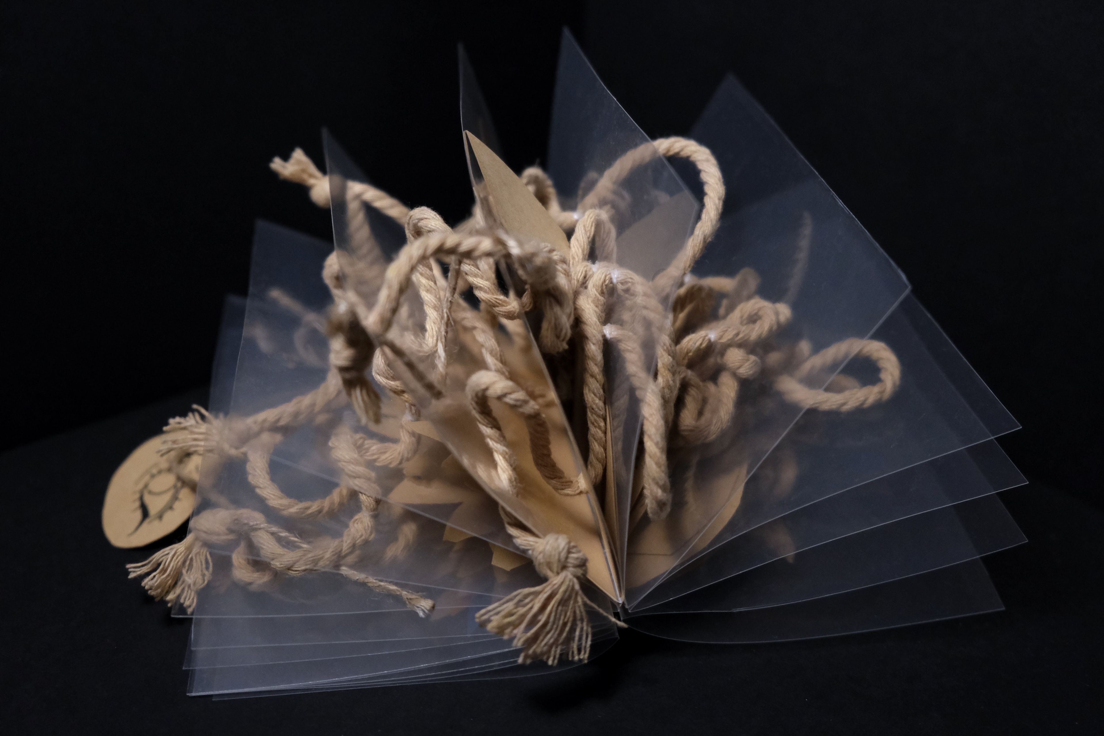 Artistic book construction using transparent pages and natural rope elements. Layered translucent materials create depth through fan-like arrangement against dark background, demonstrating experimental bookbinding techniques.