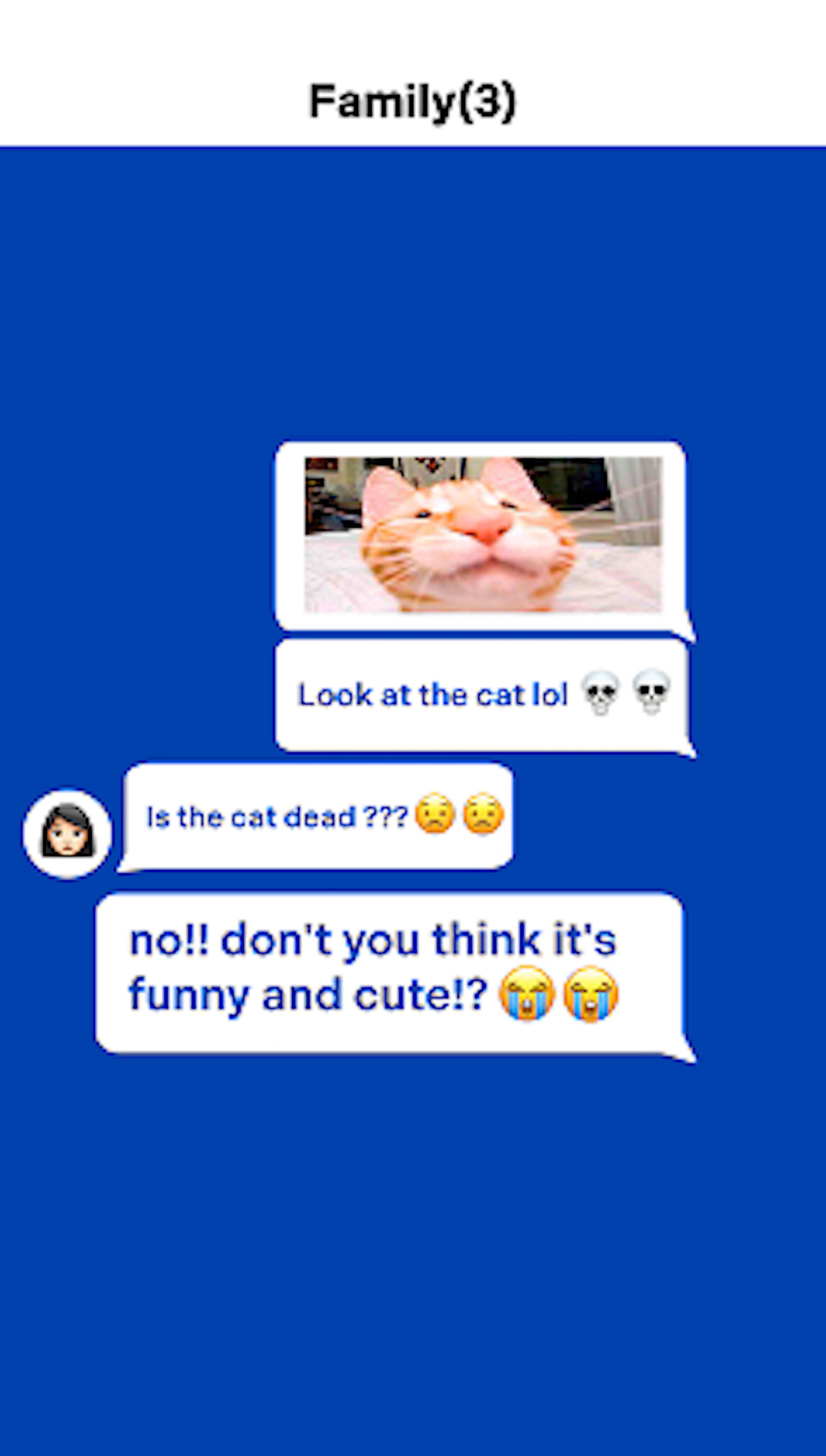 Chat exchange in a family group, showing a photo of a cat and humorous misinterpretation, with emojis expressing confusion and laughter.