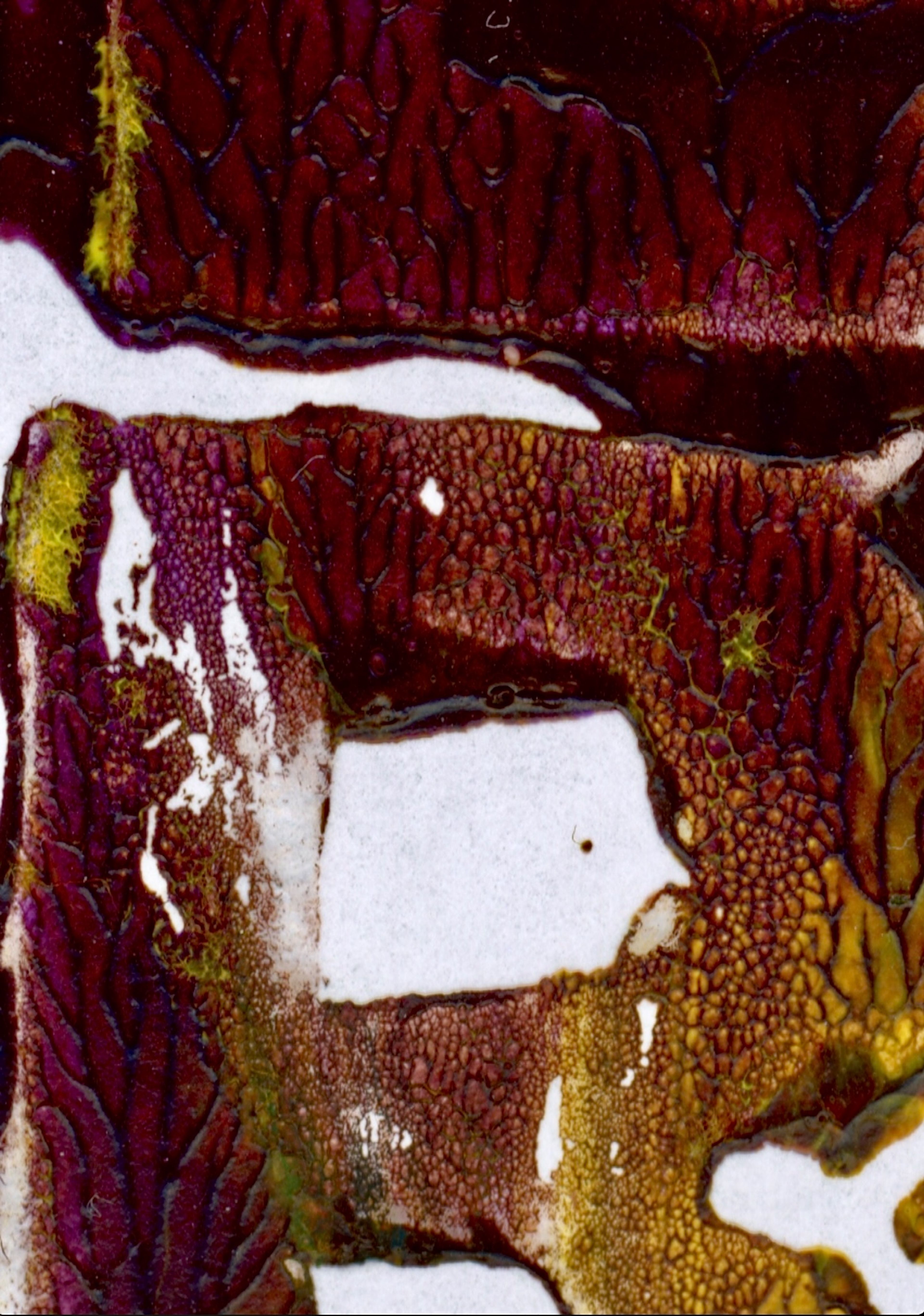 A close-up scan of an abstract artwork with rich textures and colors. The composition includes intricate patterns and organic shapes in earthy tones of purple, maroon, and hints of green. The artwork's textured surface creates depth, resembling natural forms or geological patterns.