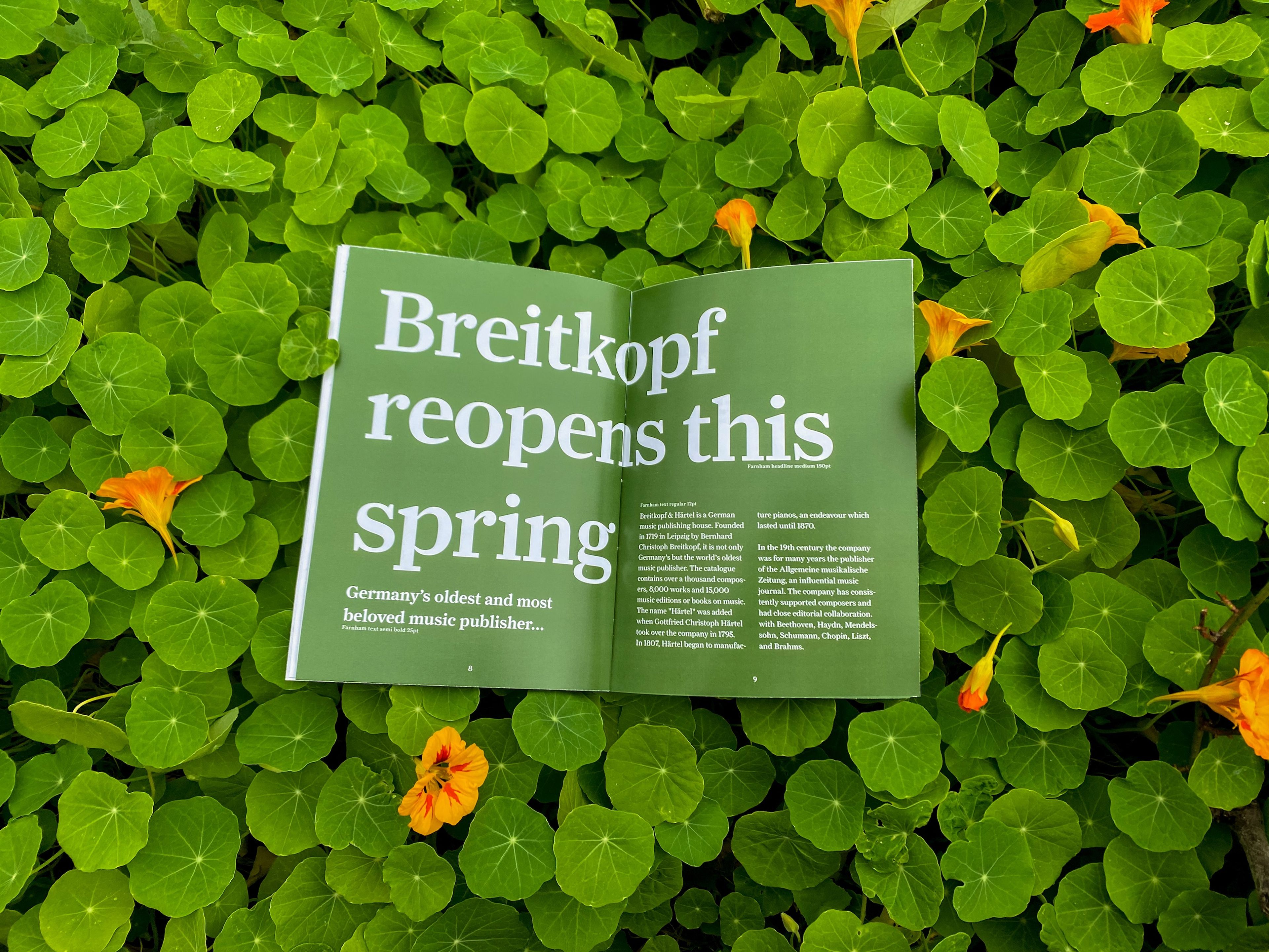 Magazine spread showing 'Breitkopf reopens this spring' headline against bed of nasturtium leaves. Open publication photographed on green foliage with orange flowers, featuring white text about Germany's oldest music publisher.