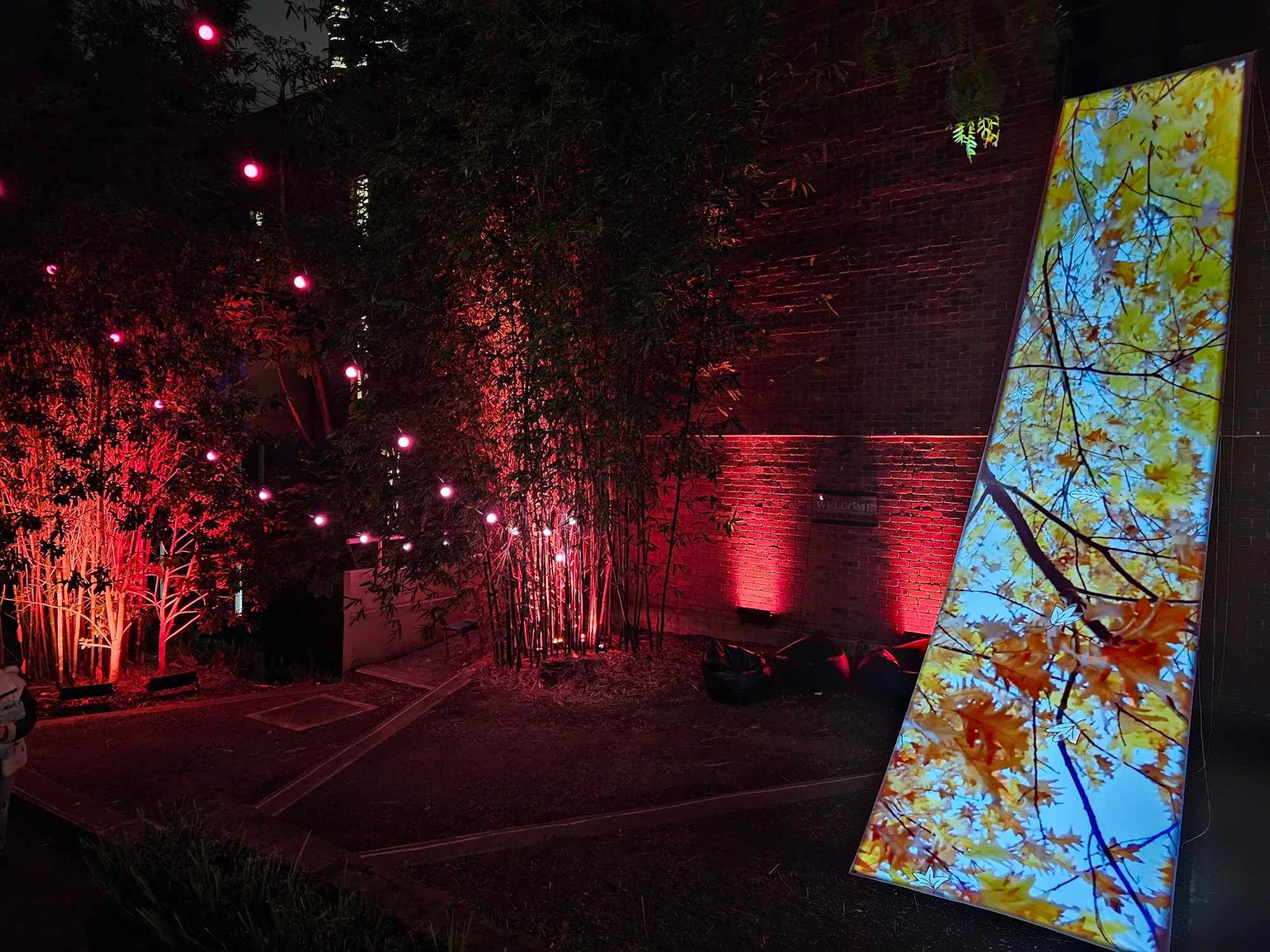 An outdoor art installation featuring a tall, tilted screen displaying a close-up of autumn leaves in vibrant orange and yellow. The surrounding area is lit with red lights that cast a warm glow over the scene.