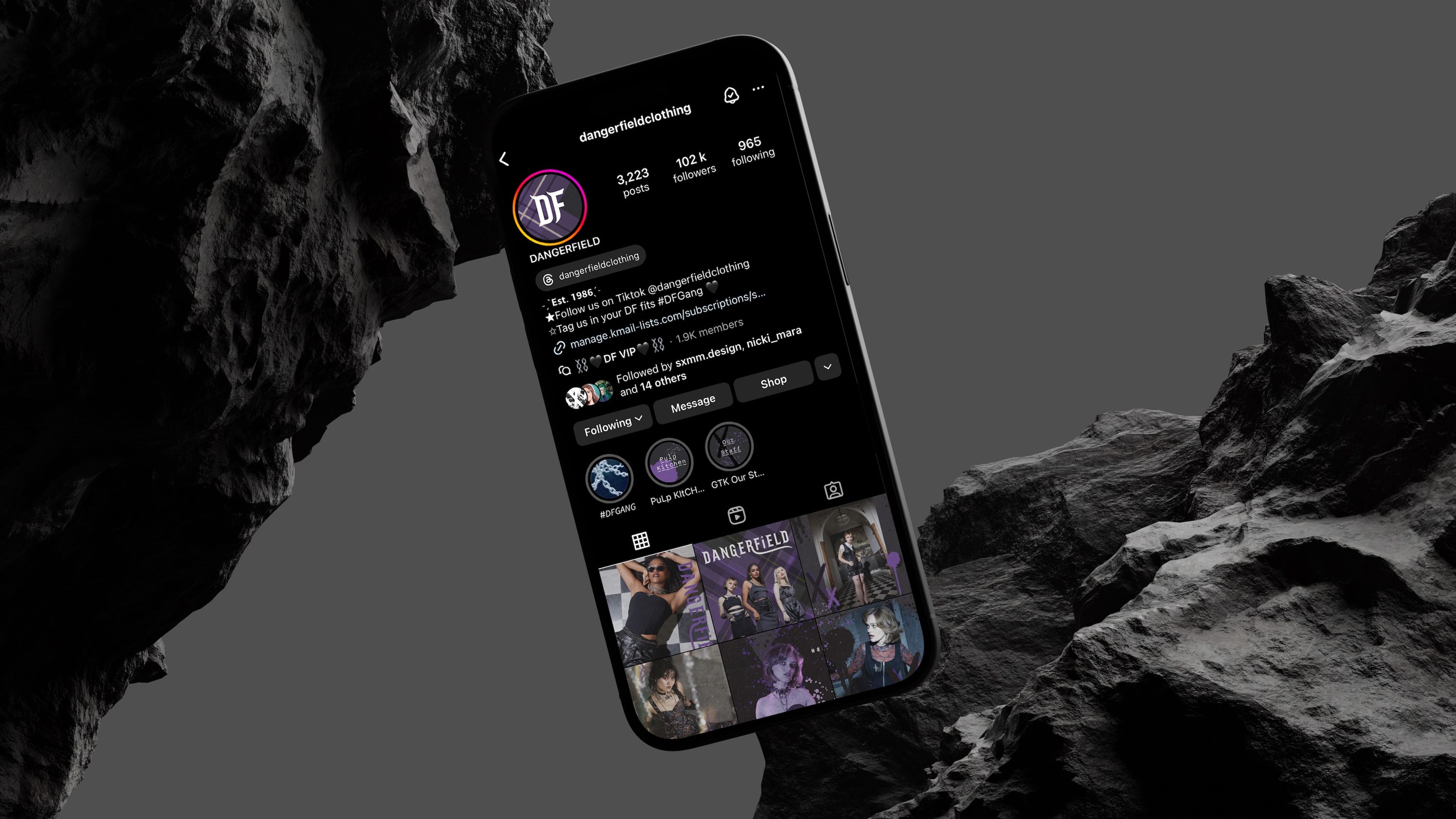 Instagram profile for Dangerfield Clothing ('dangerfieldclothing') displayed on an iPhone against a dark rocky background. Grid displays alternative fashion photography with purple tones.