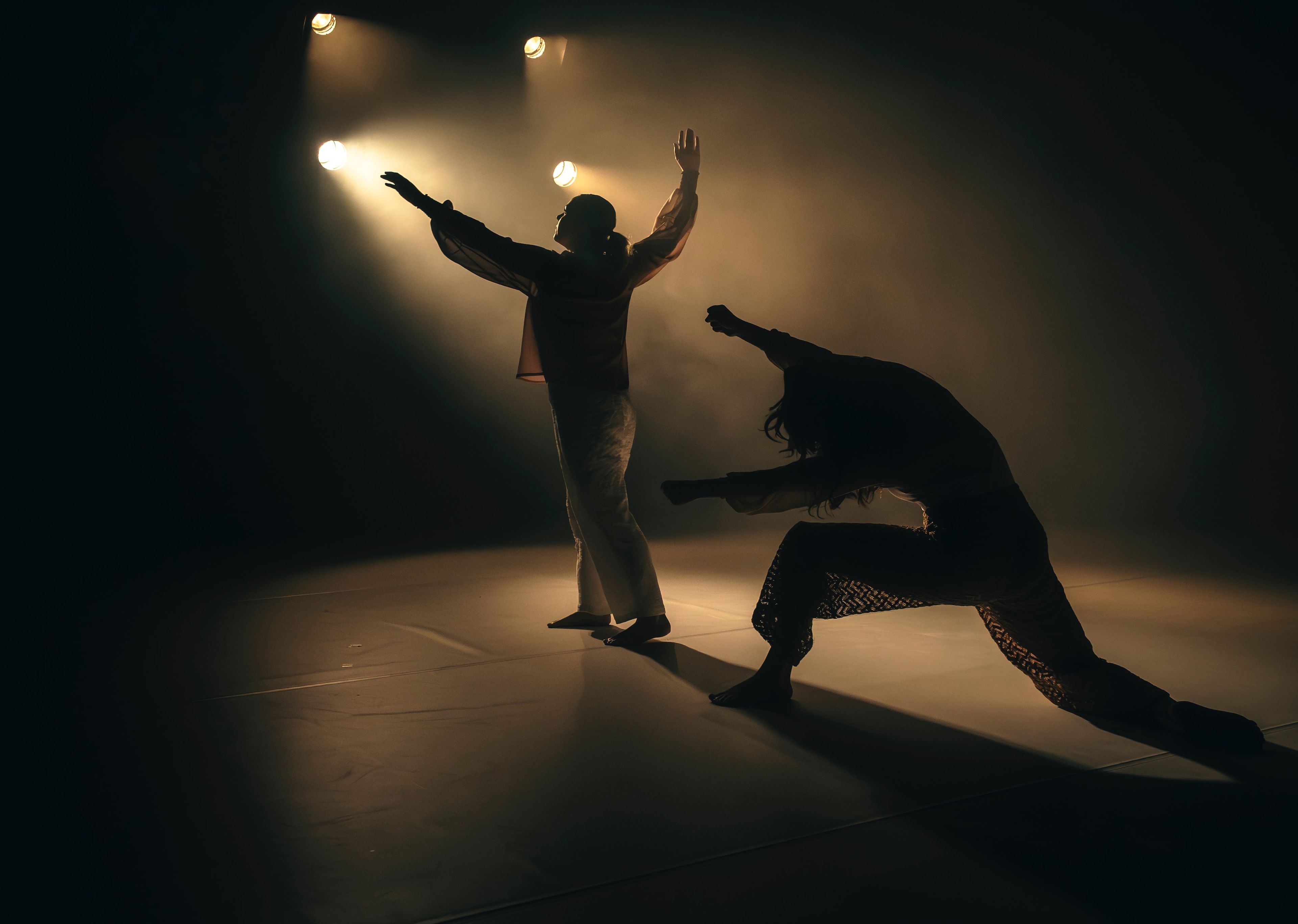 Theatre production photograph showing two dancers in silhouette, one standing with arms outstretched, and the other crouched in a powerful pose, under focused stage lighting.