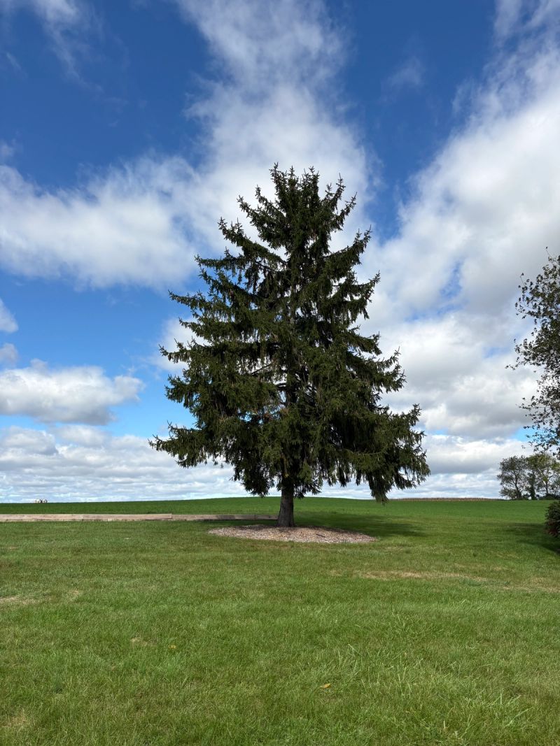 Country Acres Campground