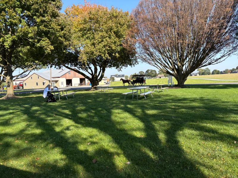 Country Acres Campground
