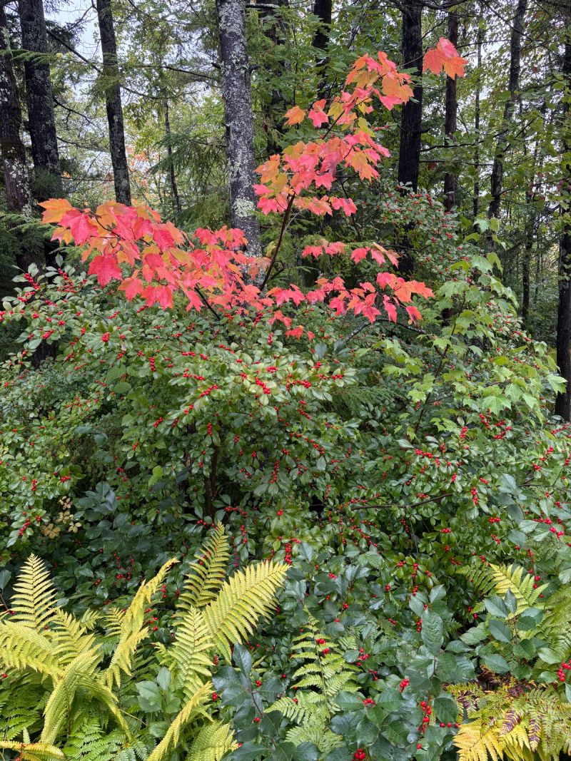 Paradise Park Resort & Campground