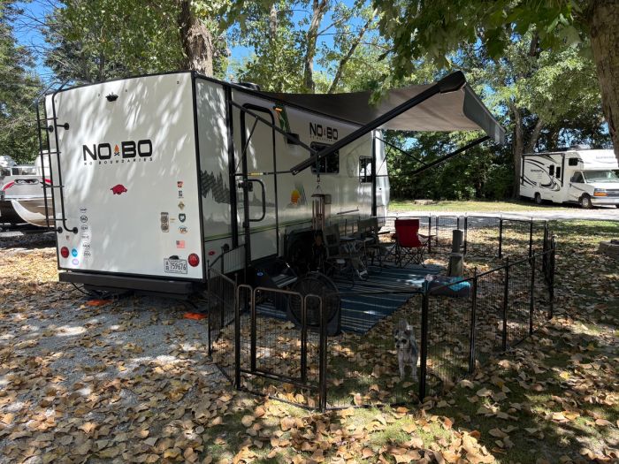 Site 11, Springfield, IL KOA