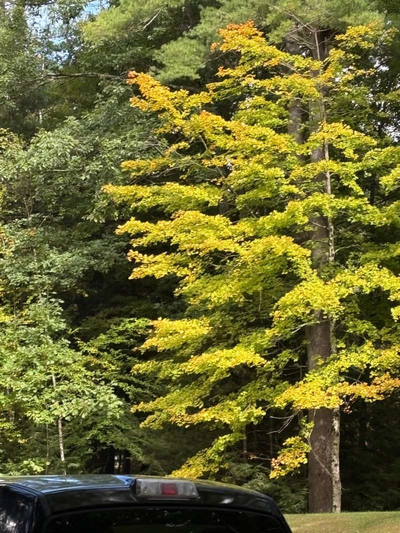 Quechee Pine Valley Campground