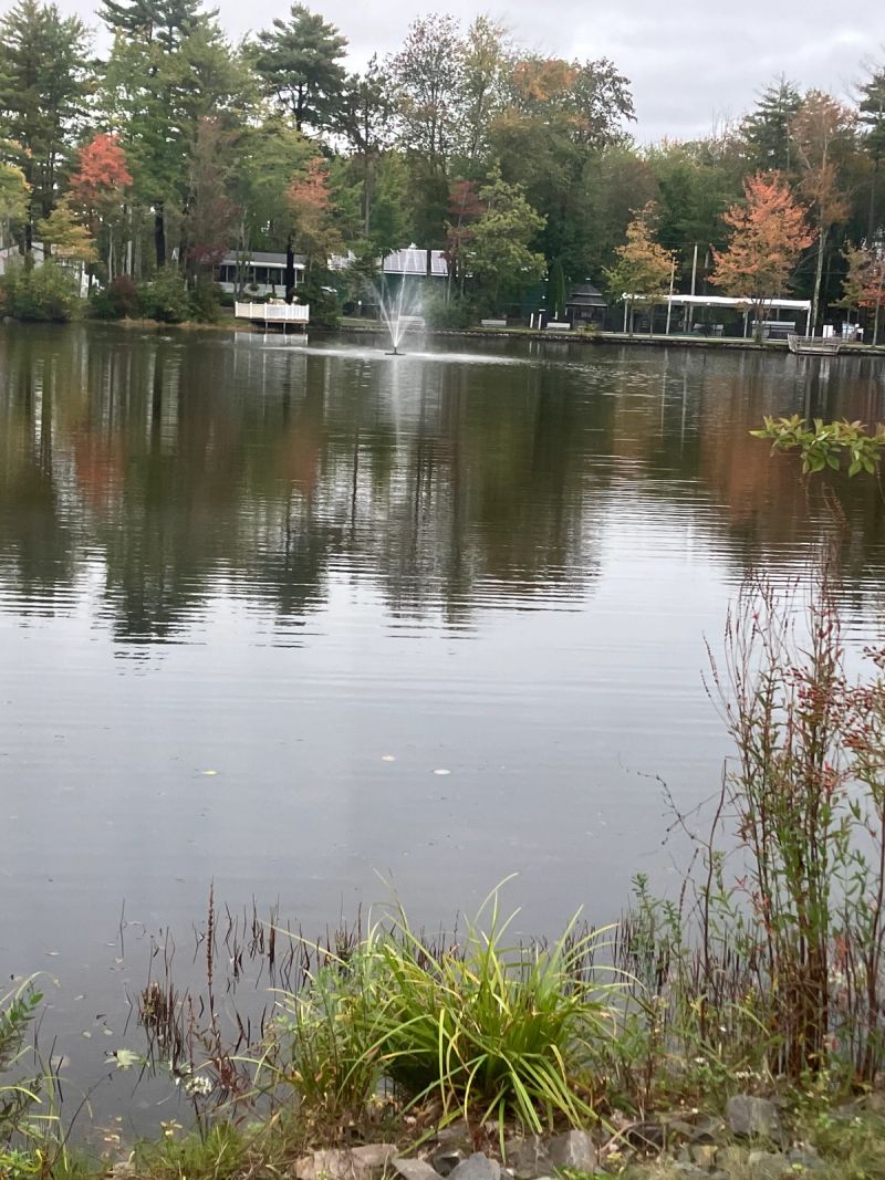 Paradise Park Resort & Campground
