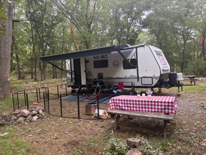 Glad to be set up, nestled in the forest, with nice neighbors from MD.