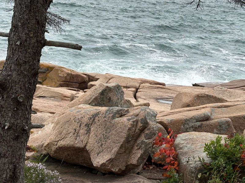 Bar Harbor Campground 