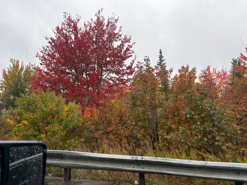 Paradise Park Resort & Campground