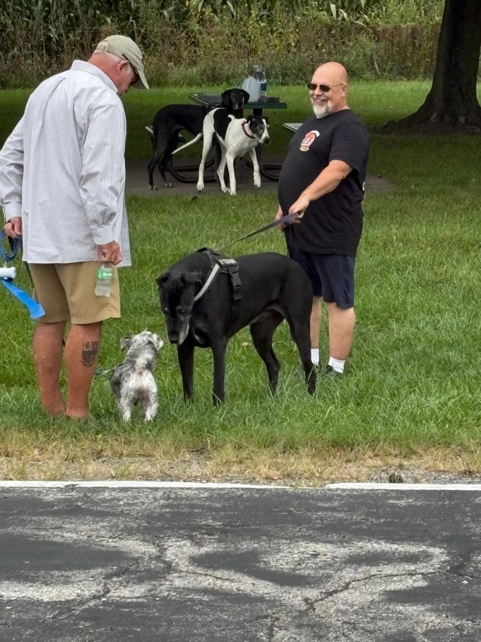 Meet & greet for Albert and Shelby the gentle giant Great Dane