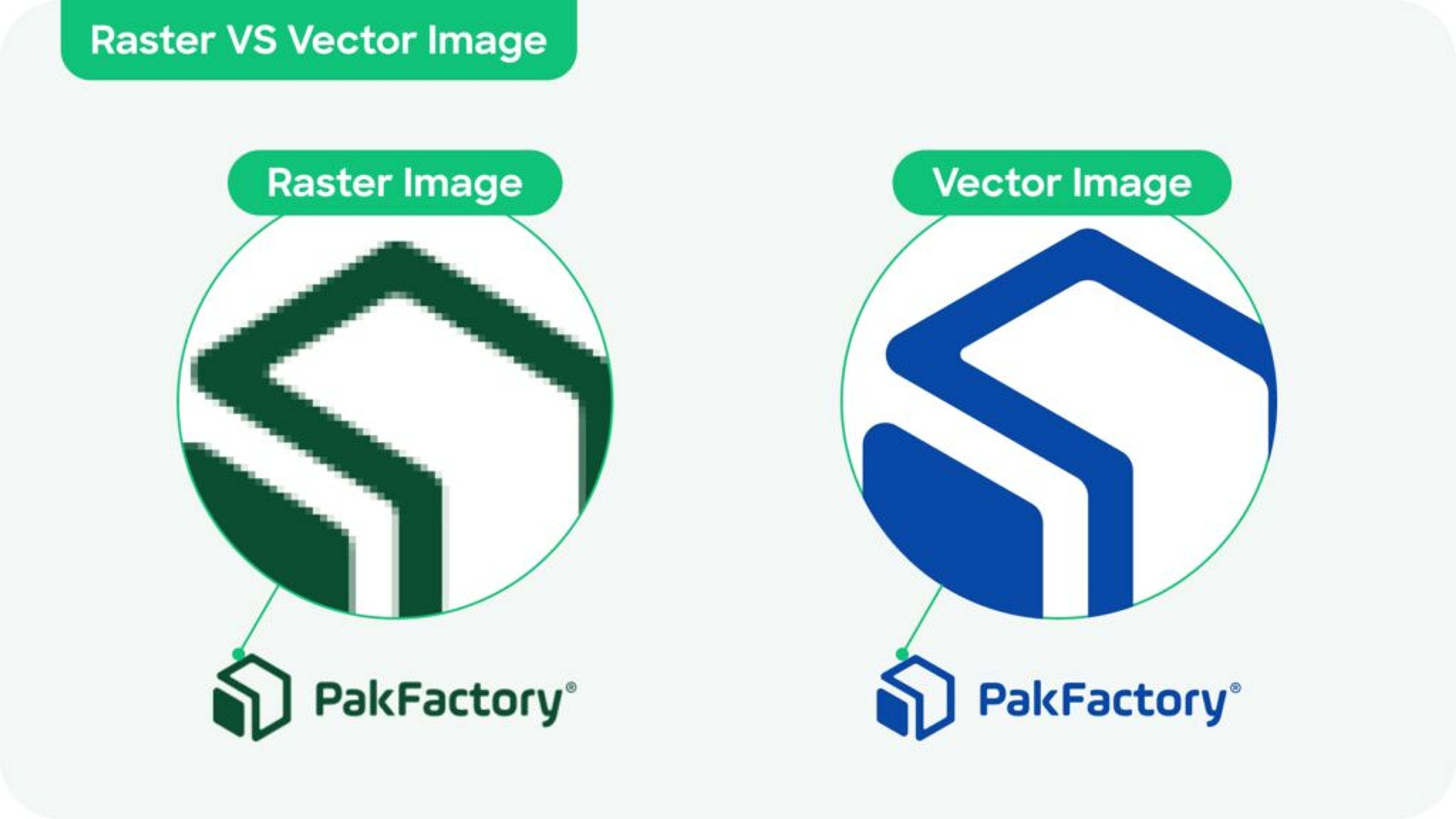 A side-by-side comparison of raster vs. vector images.