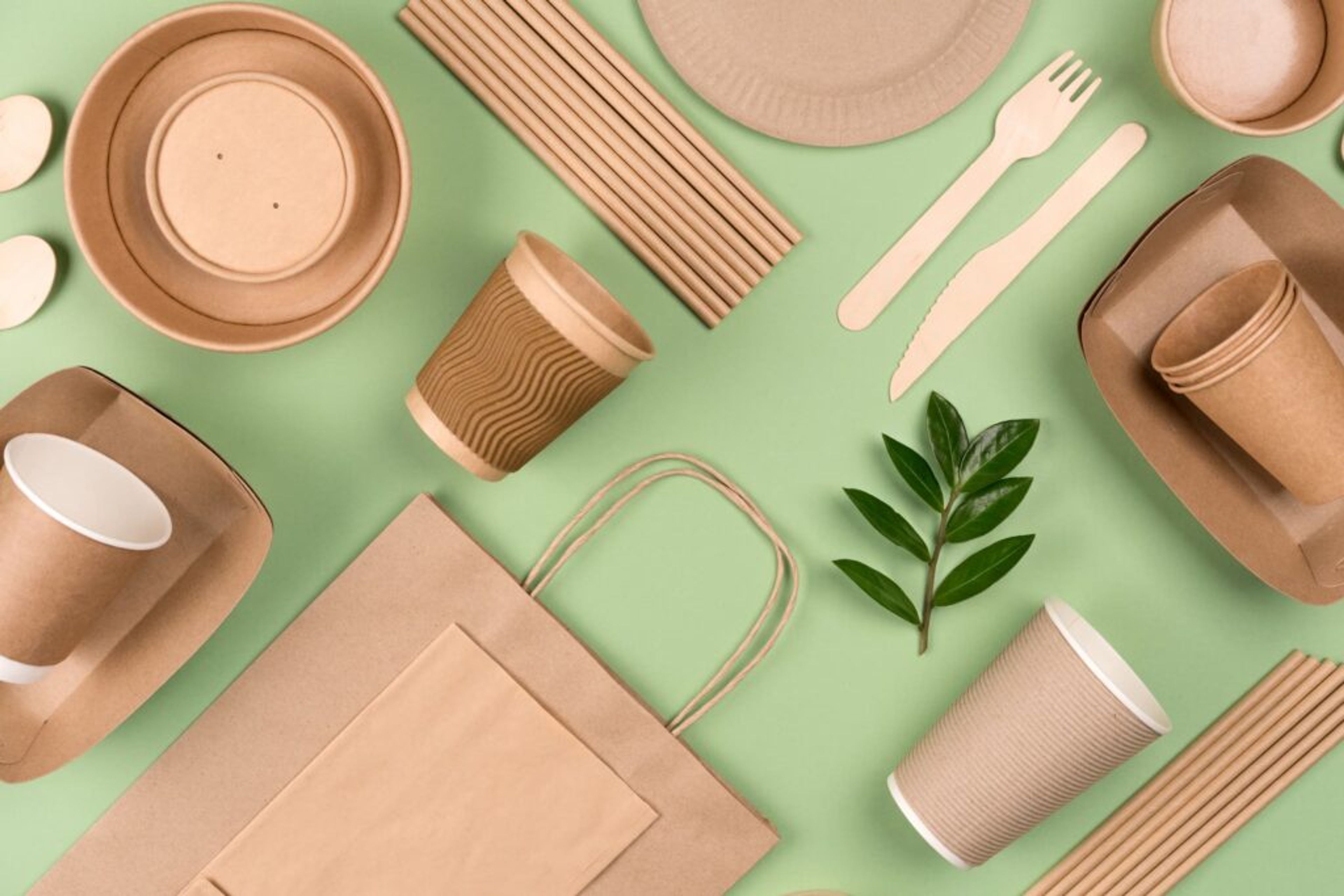 Biodegradable food packaging. Paper disposable environmentally friendly tableware for environmental protection