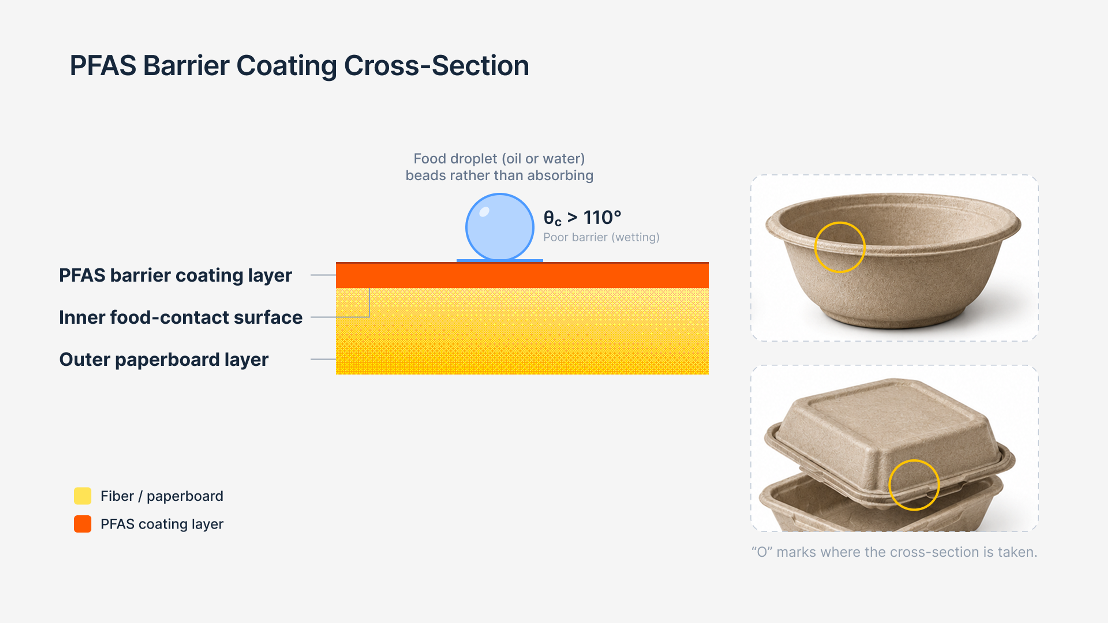 Cross-section: food container showing the PFAS barrier coating layer between the substrate and the food-contact surface.