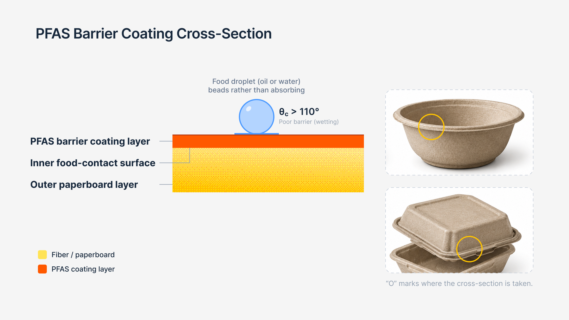Cross-section: food container showing the PFAS barrier coating layer between the substrate and the food-contact surface.