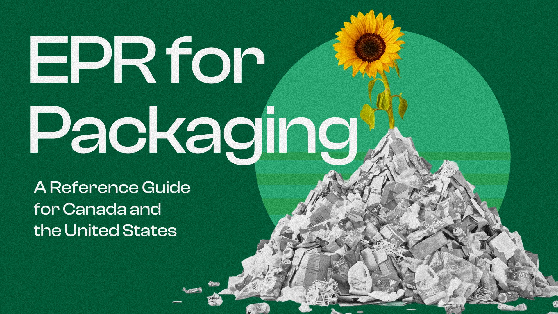 Cover of "EPR for Packaging: A Reference Guide for Canada and the United States," showing a yellow sunflower growing from a mountain of discarded packaging against a dark green background.